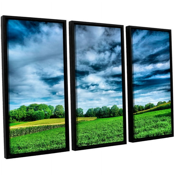 ArtWall Steve Ainsworth "Field Of Dreams" 3-Piece Floater-framed Canvas Set