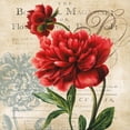 thumbnail image 3 of Robinson, Carol 15x15 Black Modern Framed Museum Art Print Titled - The Botanical, 3 of 5
