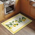 thumbnail image 2 of Yellow Lemons Entryway Rug 2'x3'&nbsp; Non Slip Front Door Mats, Summer Botanical Checkered Farmhouse Entrance Rugs Indoor Outdoor Carpet, Washable Floor Mats Small Area Rug for Bedroom Kitchen, 2 of 8