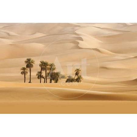 Huge Dunes of the Desert. Fine Place for Photographers and Travelers. Beautiful Structures of Sandy Print Wall Art By Denis