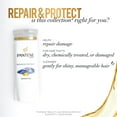 thumbnail image 5 of Pro-V Repair and Protect Shampoo 21.1 fl oz - Repair Shampoo, 5 of 8