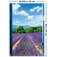 thumbnail image 2 of Lavender Field Wall Poster, 22.375" x 34", 2 of 4