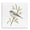 Finch Bird Branch, variant on Stupell Industries Bohemian Bird with Forest Nature Black Floating Frame Canvas Art, 18 x 18, by RB