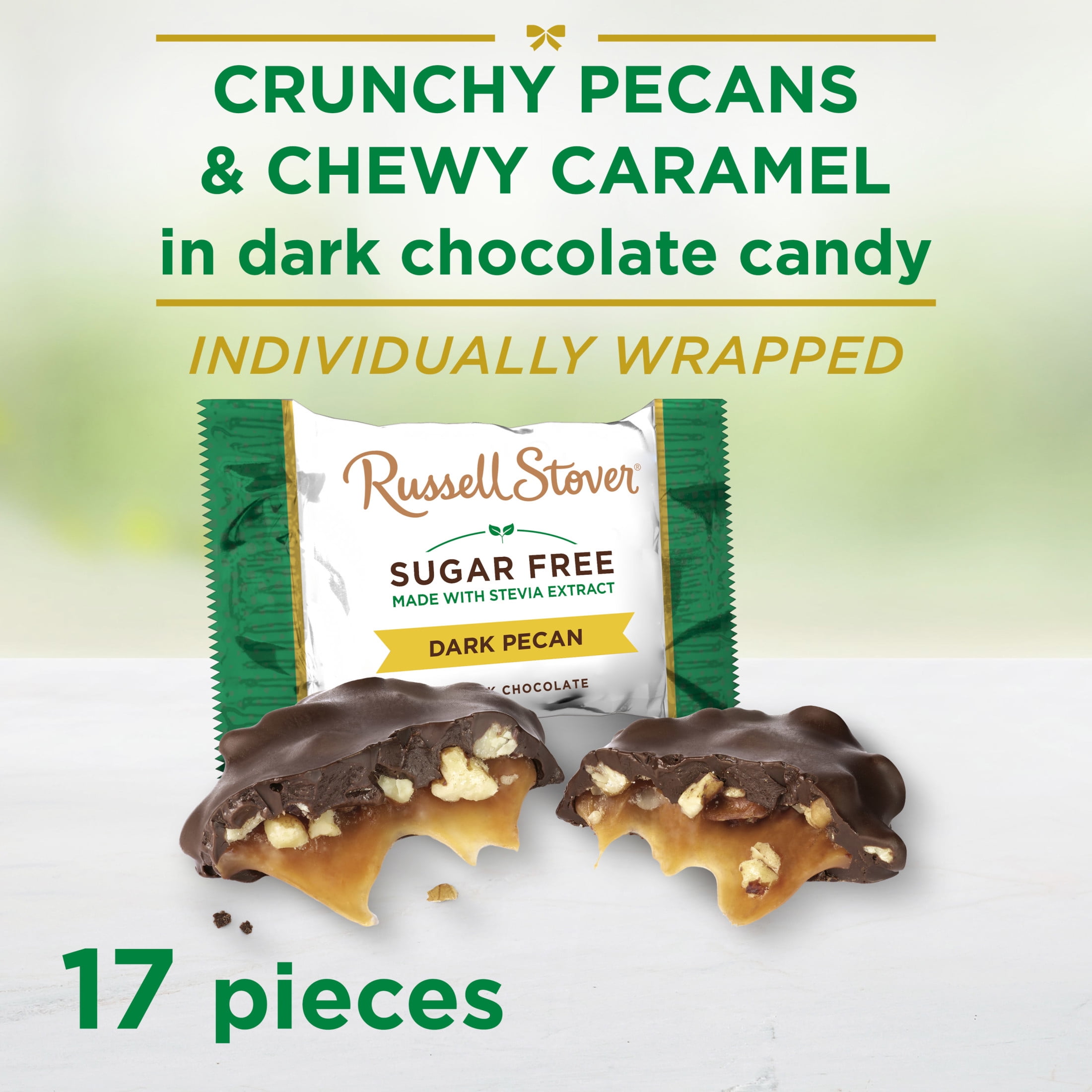 RUSSELL STOVER Sugar Free Dark Chocolate Pecan Delights Candy, 10 oz. bag (≈ 16 pieces)