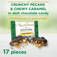 thumbnail image 3 of RUSSELL STOVER Sugar Free Dark Chocolate Pecan Delights Candy, 10 oz. bag (≈ 16 pieces), 3 of 10