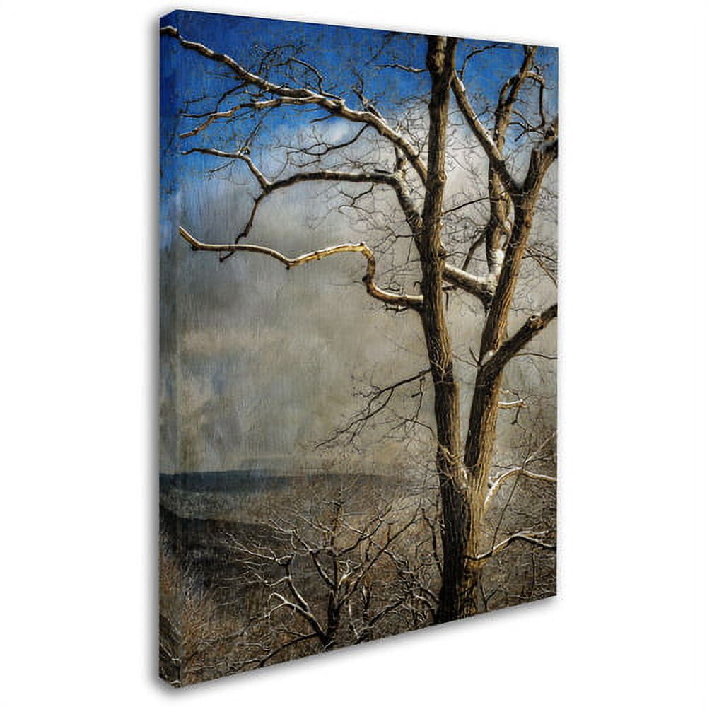 "Tree In Winter" Canvas Art by Lois Bryan