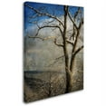 thumbnail image 2 of "Tree In Winter" Canvas Art by Lois Bryan, 2 of 2