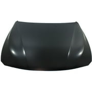 Hood for 2012-2013 BMW 328i REPB130115Q