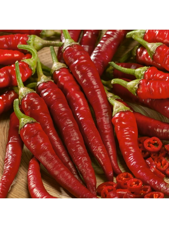 Fuego Trail F1 Hybrid Hot Pepper Seeds - 300 Mg Packet ~40 Seeds - Non-GMO, F1 Hybrid - Vegetable Garden - Capsicum annuum