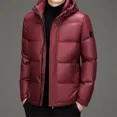 thumbnail image 3 of Chaqueta de plumón para hombre con gorro extraíble en color dorado y negro, ropa de diseñador, chaquetas cortas de plumón de pato para hombre, chaqueta de invierno para hombre, abrigo para hombre, 3 of 5