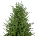 thumbnail image 3 of Northlight Real Touch™ Artificial Cedar Pine Arborvitae Tree in Urn Style Pot, Unlit - 5', 3 of 8