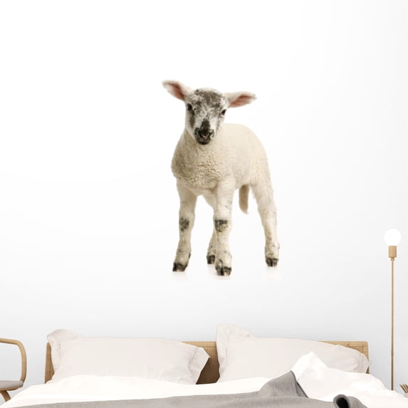 Agneau Wall Decal by Wallmonkeys Peel and Stick Graphic (48 in H x 48 in W) WM311160