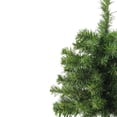 thumbnail image 3 of 1.5' Medium Natural Two-Tone Pine Artificial Christmas Tree - Unlit, 3 of 5