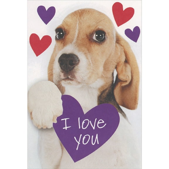 Recycled Paper Greetings Basset Hound Dog with Purple 'I Love You Heart Valentines Day Card
