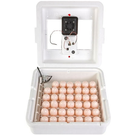 Little Giant Deluxe Incubator w/Egg Turner - Walmart.com
