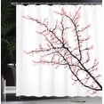 thumbnail image 4 of Ambesonne Flower Shower Curtain, Cherry Branch Floral, 69"Wx84"L, Pink Black, 4 of 5