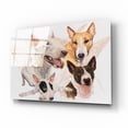 thumbnail image 2 of Epic Art 'Bull Terrier with Ghost Image' by Barbara Keith, Acrylic Glass Wall Art, 16"x12", 2 of 8