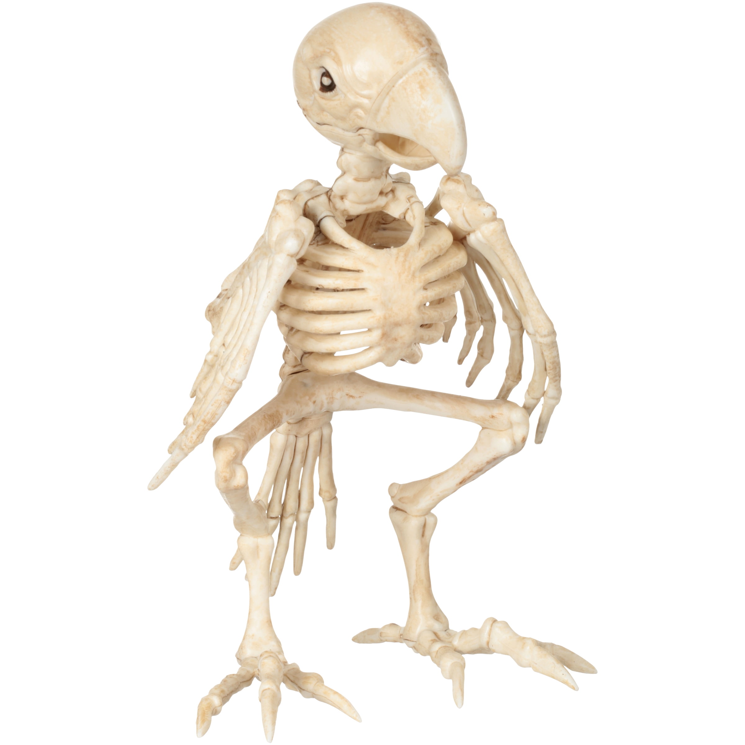 Official Crazybonez Faux Parrot Skeleton