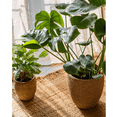 thumbnail image 3 of Faux Grass-Woven Cement Planter, 3 of 12