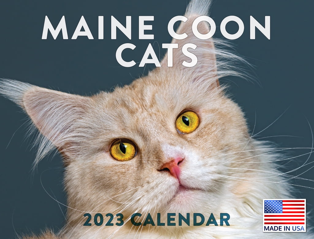 Maine Coon Cat Calendar 2023 Monthly Wall Hanging Calendars Cute Kitten Cats Breed Large Planner