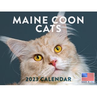 Cat Wall Calendars in Wall Calendars - Walmart.com