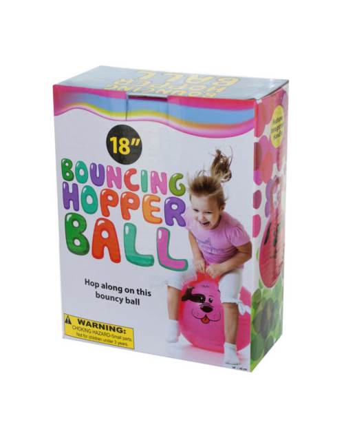 Photo 1 of Bouncing Hopper Ball with Dog Design