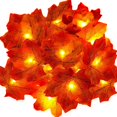 thumbnail image 1 of Guirnalda de otoño Decoraciones de otoño 3M 30 Luces de cadena con pilas Decoraciones navideñas de Halloween Decoraciones de acción de gracias Decoraciones de pared esquí esquí Gafas de esquí, 1 of 5