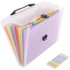 thumbnail image 2 of Paquete de 13 carpetas de archivos expandibles organizador de documentos de acordeón, carpeta de archivos de plástico de papel A4 con 13 bolsillos para archivos expandibles Jacke Adepaton CZBG-ST17, 2 of 5