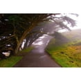 thumbnail image 3 of Johnson, George 18x13 Black Modern Framed Museum Art Print Titled - Foggy Path, 3 of 5