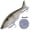 13#, variant on Swimbait Glider Fishing Glide Bait Artificial Hard Baits Lure Hooks 178mm/81g