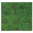 thumbnail image 1 of Artificial Moss Turf Artificial Grass Fake Moss Rug Grass Mat Micro Landscape Decor Diy Greenery Decor, 1 of 9