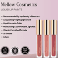 thumbnail image 5 of Mellow Cosmetics - Liquid Lip Paint, 5 of 5