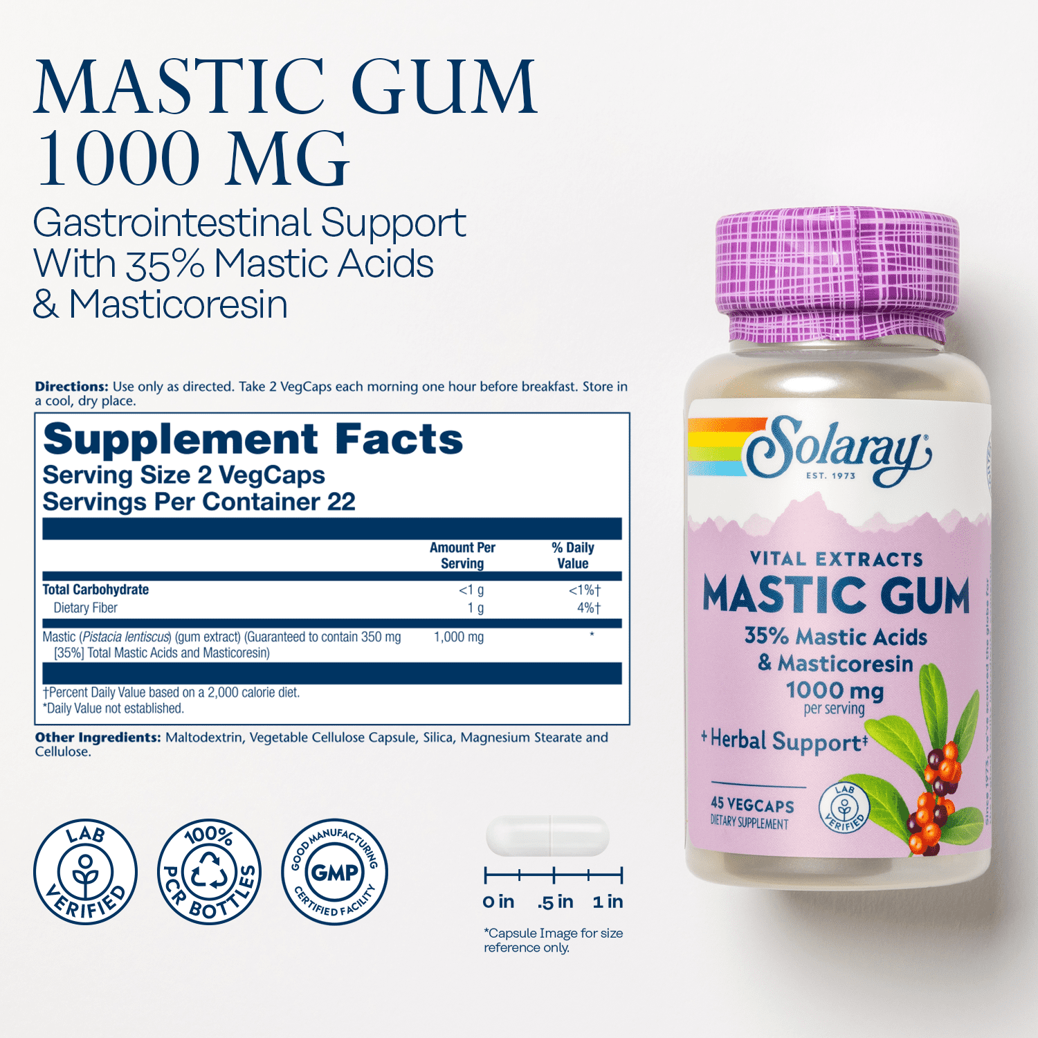 Solaray Mastic Gum Extract | Healthy Gastrointestinal and Digestive Function Support | 1000 Mg | 45 VegCaps, 22 Servings