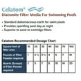 Celatom Diatomaceous Earth DE Pool Filter Aid Swimming Pool & Spa