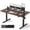 Black Walnut, variant on DESINO 63x28 inch Electric Standing Desk, Height Adjustable Sit Stand Desk with Memory Presets, Ergonomic Home Office Computer Desk with Anti-Collision, White