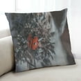 thumbnail image 1 of Ahgly Company Insects Lady Bug Indoor Throw Pillow, 18 inch by 18 inch, 1 of 6