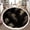 Color 3, variant on Washable Non Slip 3ft Round Rug, Colorful Jellyfish Coral Sea Shells Dark Circle Area Rugs with Tassels Carpet for Nursery Bedroom Living Room Playroom Tent rug Tent Castle