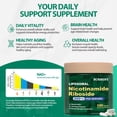 thumbnail image 3 of Suplemento: BURMINY NAD, nicotinamida, ribósido, resveratrol, 900 mg, 3 of 7