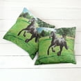 thumbnail image 2 of Ambesonne Animal Throw Pillow Cover 2 Pack, Friesian Horse, 16", Black Green, 2 of 6