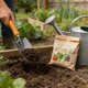 thumbnail image 5 of Pala de Jardinería Qazbgdl para Flores y Verduras | Hoja de Acero con Mango de Madera | Paleta de Mano Ligera para Jardineras | 1 Paquete, 5 of 6