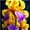 D, variant on Iris for Planting-(Non-Artificial)-Easy Care & Quick Sprouting, Gorgeous Multicolored Blossoms, Great for Yard Decor, Perennial Flowering