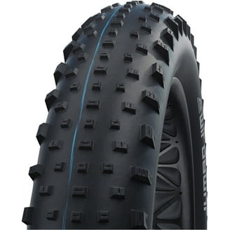 Schwalbe Racing Ralph Evo Folding Tire - 29 X 2.25 Inches (57-622), ADDIX Speed Compound, Super Race Skin