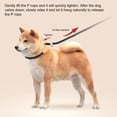 thumbnail image 3 of Slip Leads for Dogs Heavy Duty Nylon Rope Slip Leash for Large Medium Dogs No Pull Training Leash for Walking Control, 3 of 8