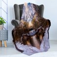 thumbnail image 4 of Landscape Soft Flannel Fleece Blanket, Snowy Winter Park Trees Heart Shape Lake River Sunset View Symmetrical Art, Cozy Plush for Indoor and Outdoor Use, 70" x 90", Brown and White, by Ambesonne, 4 of 5