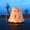 🔥 C_New, variant on KITTEHIGM Halloween Small Animals Moss Ornaments Cute Silly Ghost Pig Figurines for Garden Tabletop Shelf and Spooky Home Accent