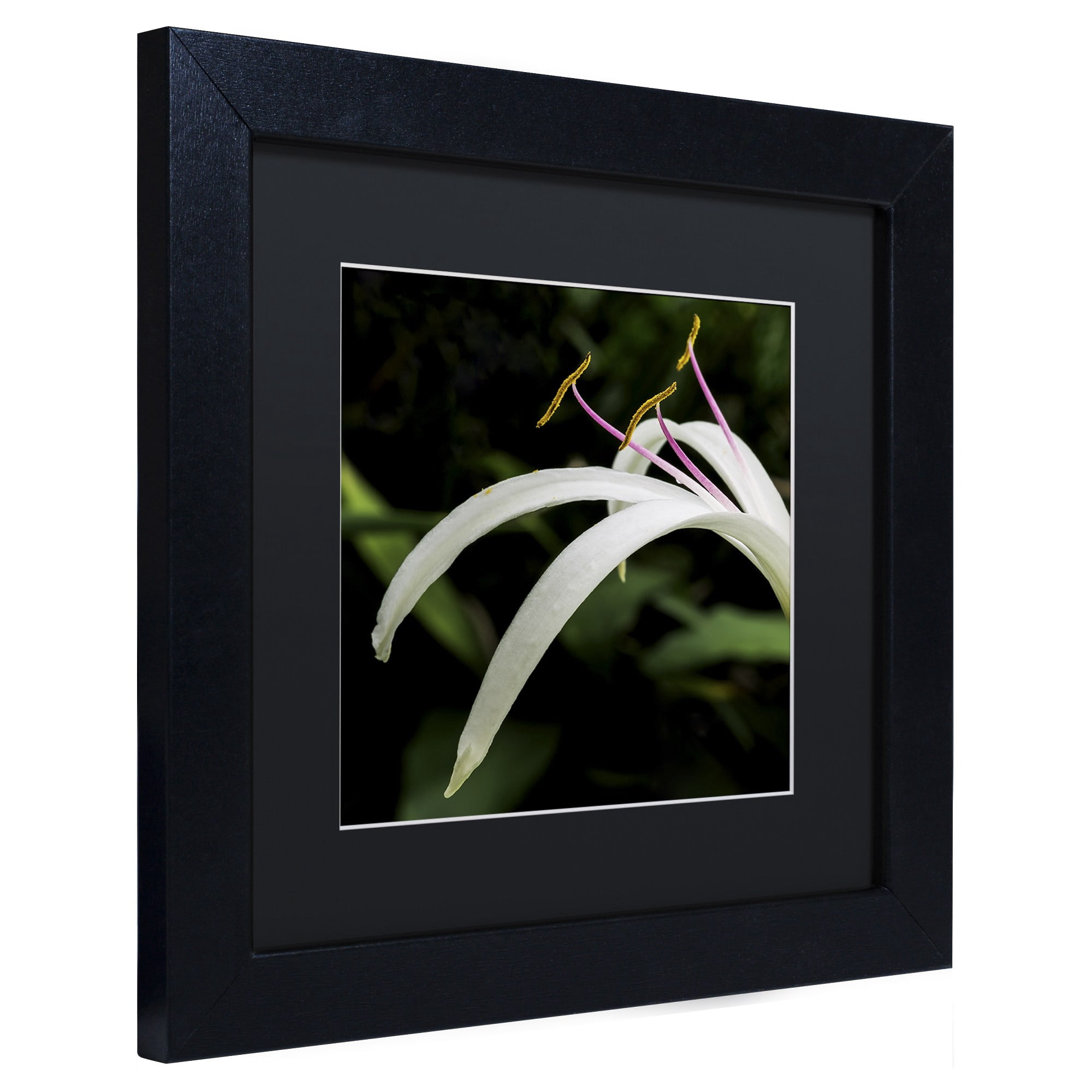 Trademark Fine Art "Graceful Lily" Canvas Art by Kurt Shaffer, White Matte, Wood Frame