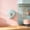 Blue, variant on Xhegex Storage Box with Fresh-keeping Cover, Wall Mounted Organization Solution for Kitchen or Home, Sealed and Waterproof, Space-Saving Design