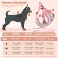thumbnail image 3 of PcEoTllar Dog Harness and Leash Combo, Escape Proof No Pull Vest Harness, Step-in Reflective Adjustable Soft Padded Pet Harness for Small to Large Dogs, Pink XS, 3 of 11