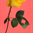 thumbnail image 1 of CAROLINE SHAW: RECTANGLES AND CIRCUMSTANCE (LP), 1 of 1