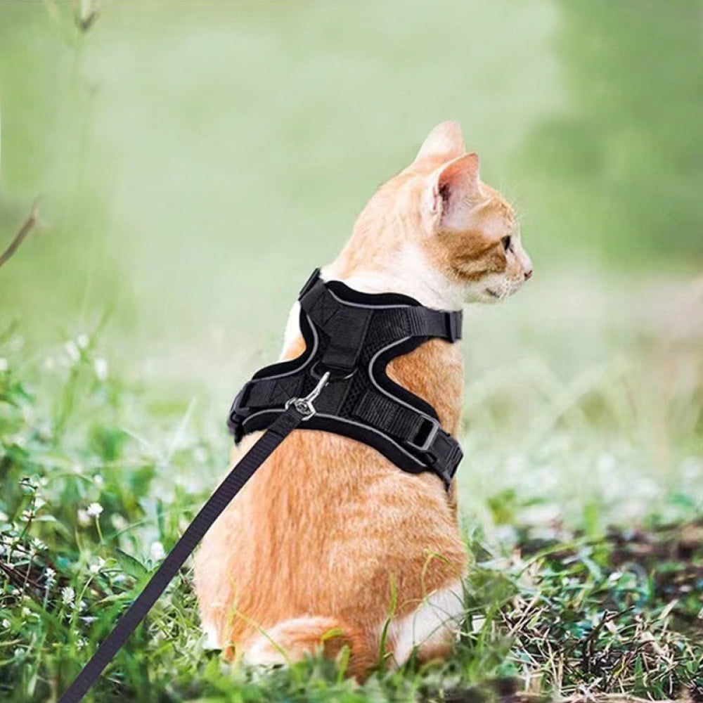 Cat and small dog harness traction rope for walking, anti escape soft adjustable vest harness, easy to control breathable jacket
